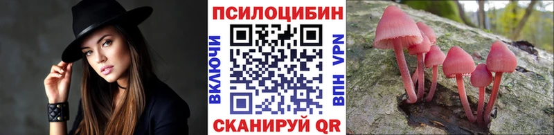 наркошоп  Аркадак  гидра ТОР  Псилоцибиновые грибы мухоморы 
